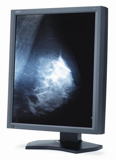 NEC_MultiSync_MD211G5_LCD_01